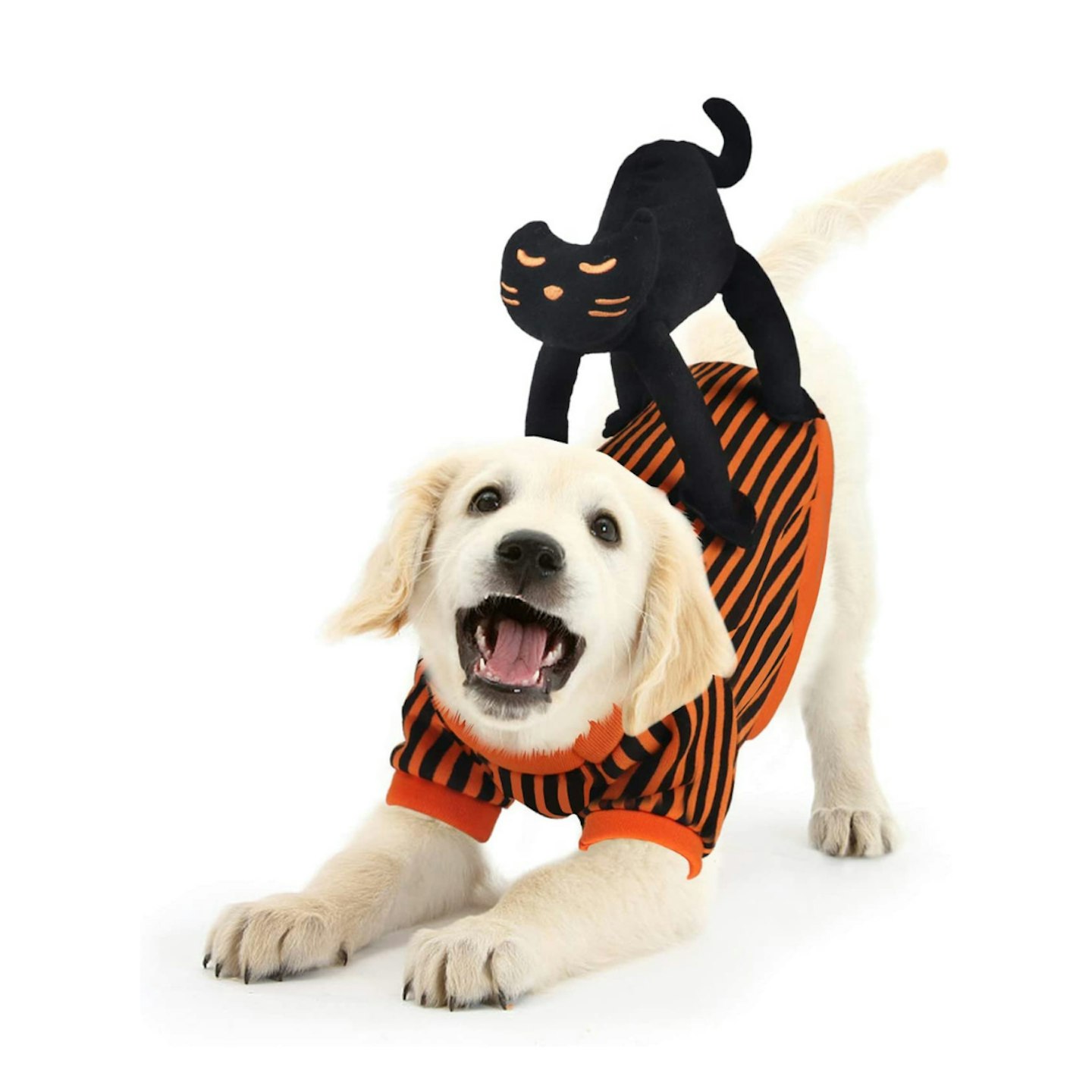 Idepet Black Cat Dog Costume