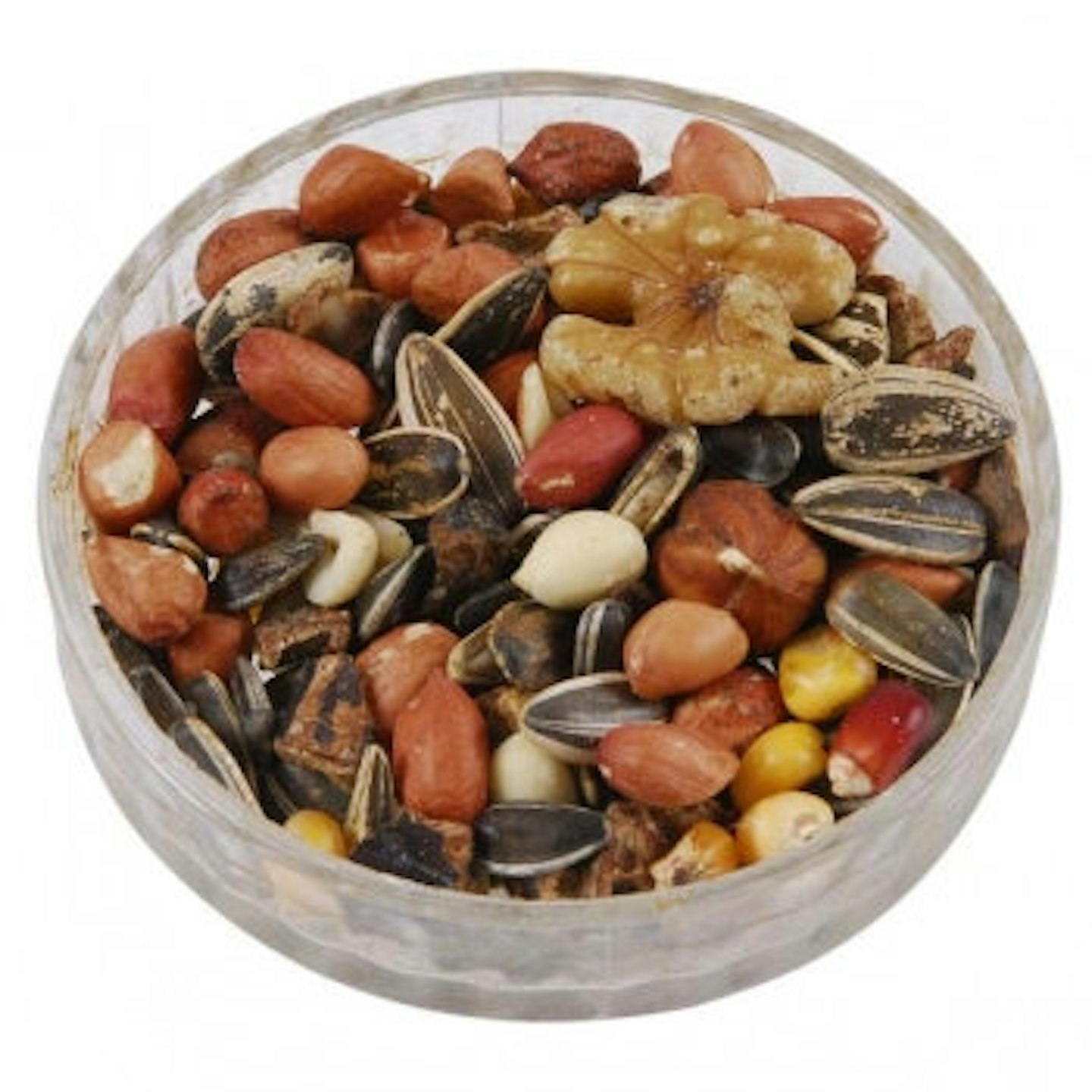 Ark Squirrel Food