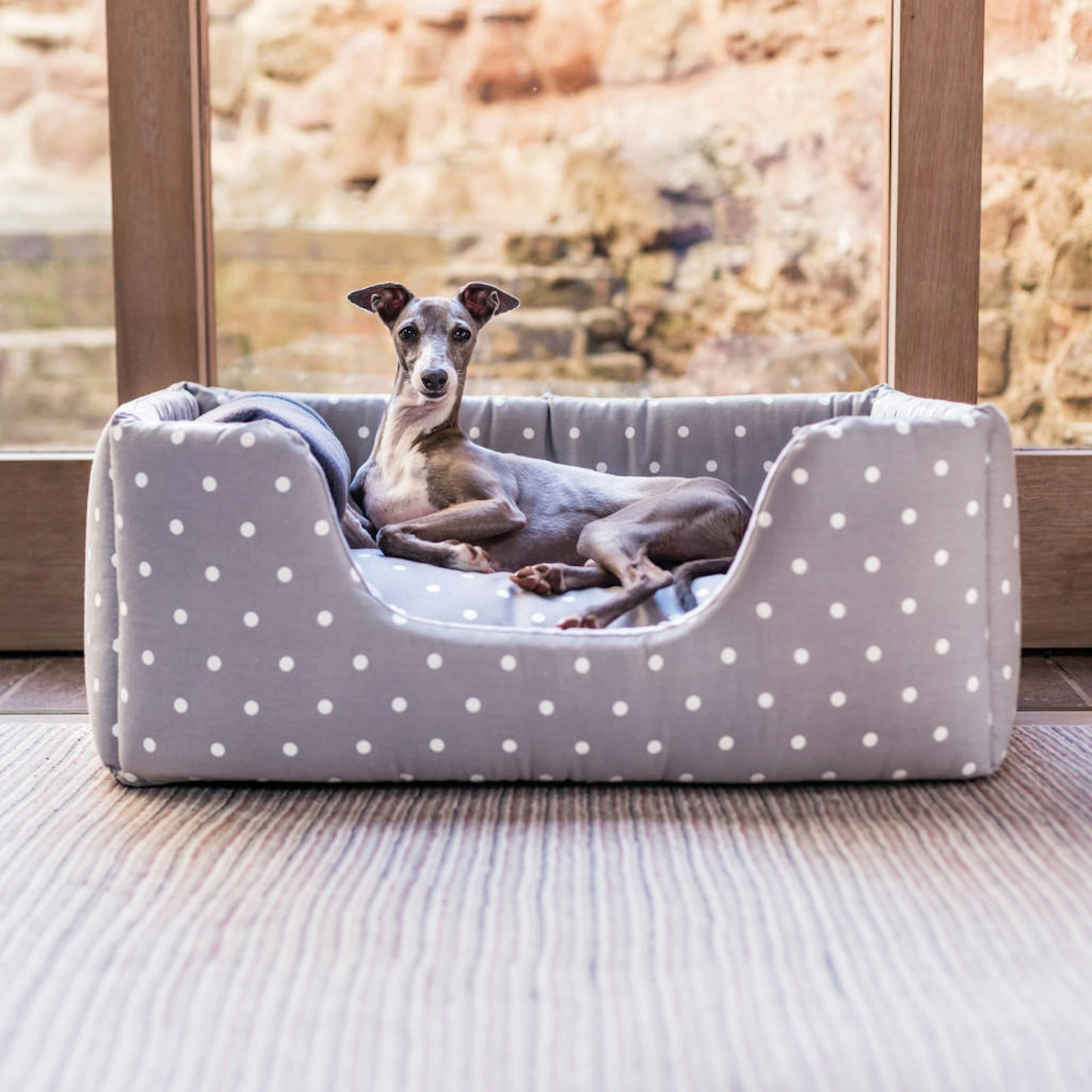 Charley Chau Deep Sided Dog Bed In Cotton