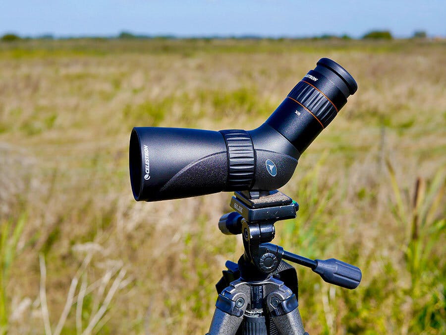 Celestron hummingbird hot sale