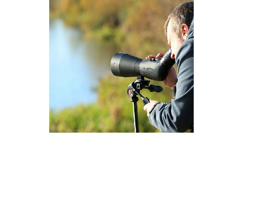 BW.png?format=jpg&quality=80&width=960&height=540&ratio=16-9&resize ...