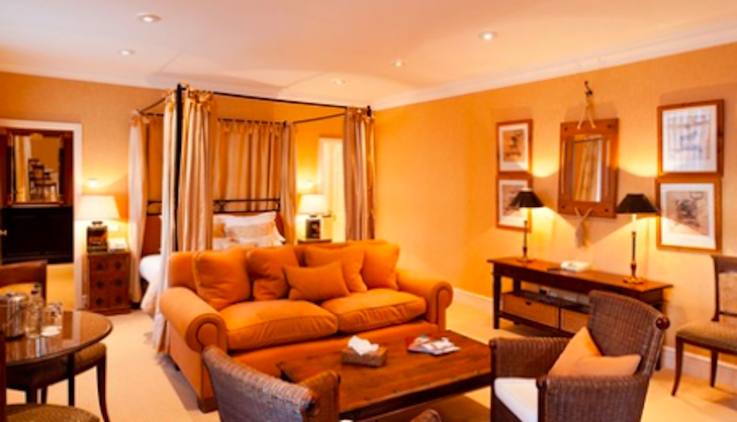 The Best Dog Friendly Hotels - Grazia