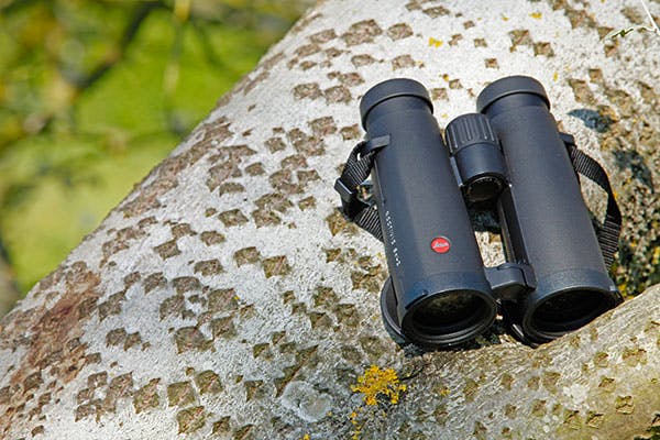 Leica best sale noctivid binoculars