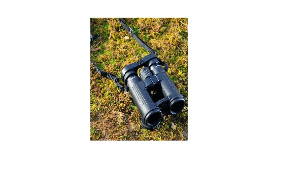 OPTICRON DBA VHD 8X42 Gear Bird Watching