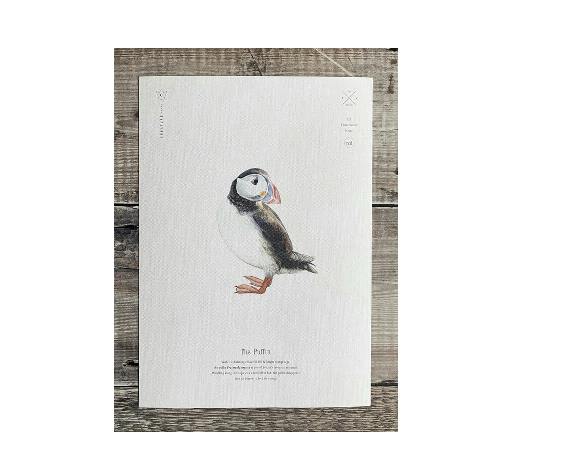 HELP SAVE THE SCOTTISH SEABIRD CENTRE