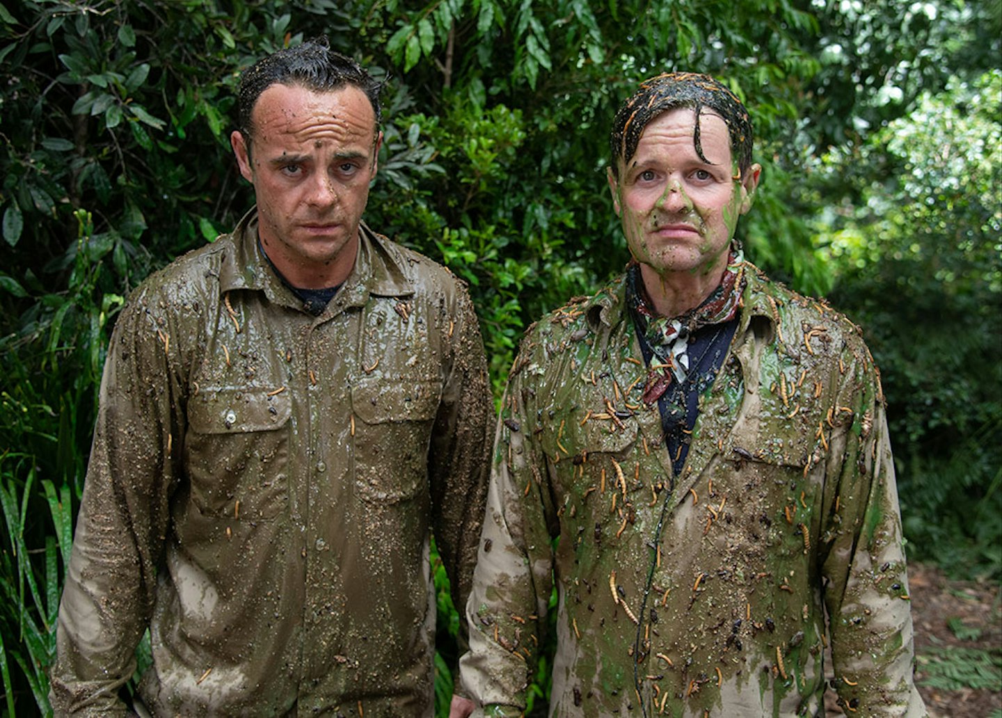 Ant McPartlin and Dec Donnelly Bushtucker Trial