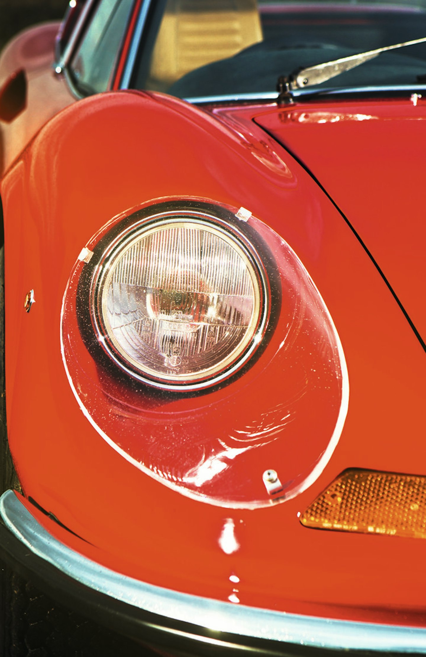 Dino light