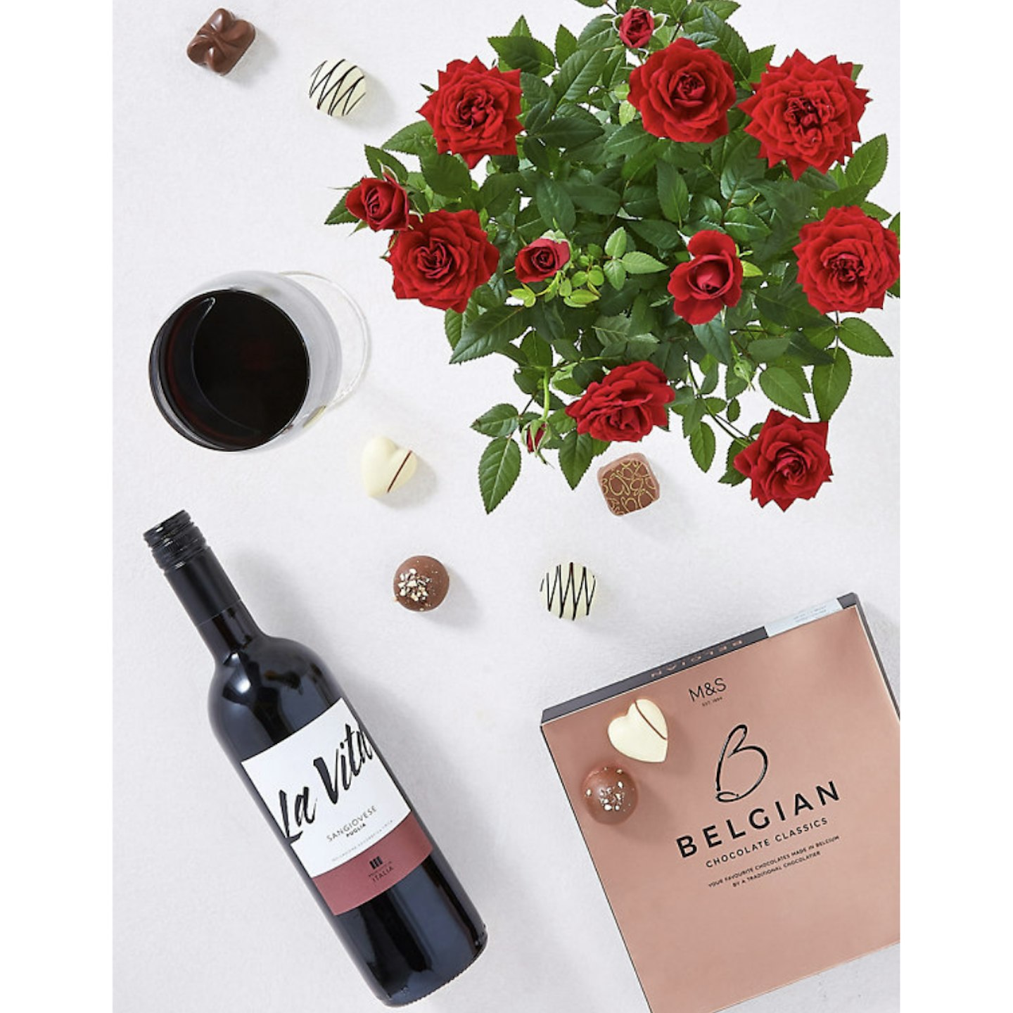 Rose Plant with Red Wine & Chocolates Gift