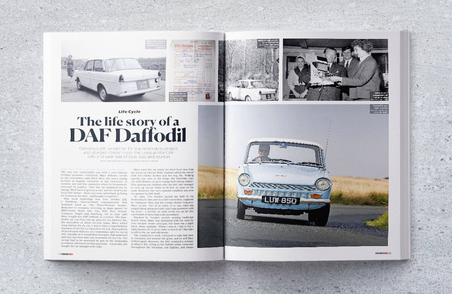November Edition