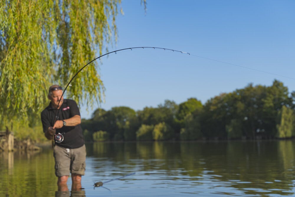 korum 12ft barbel quiver rod