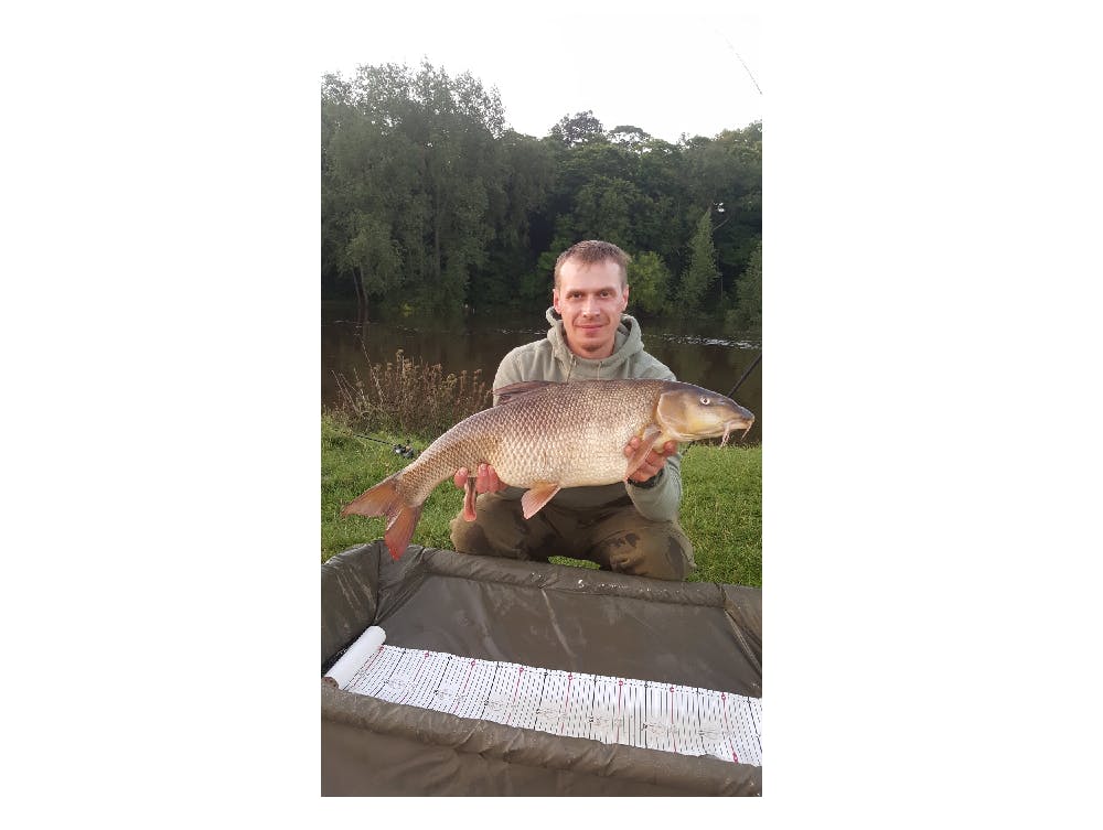 NEW RIVER TRENT BARBEL RECORD! Angling Times