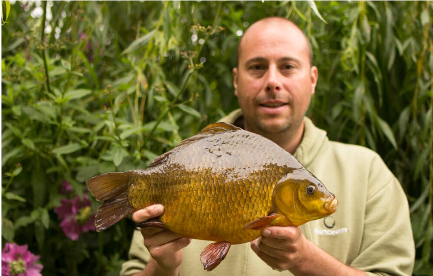 BRITISH RECORD CRUCIAN CARP - Fish