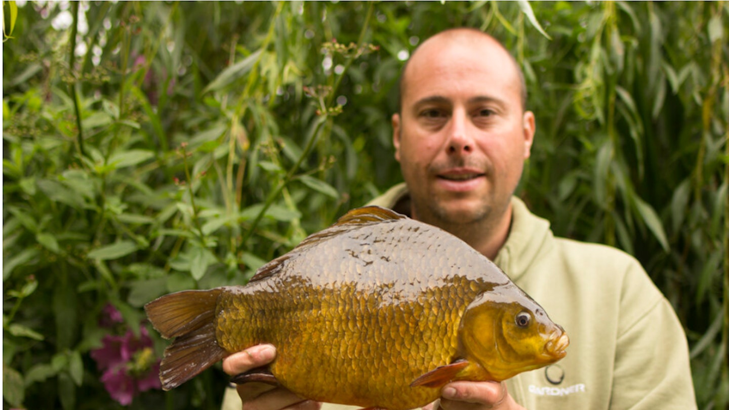 Craig Smithson holds aloft a fish that looks set to be the new British record Crucian Carp