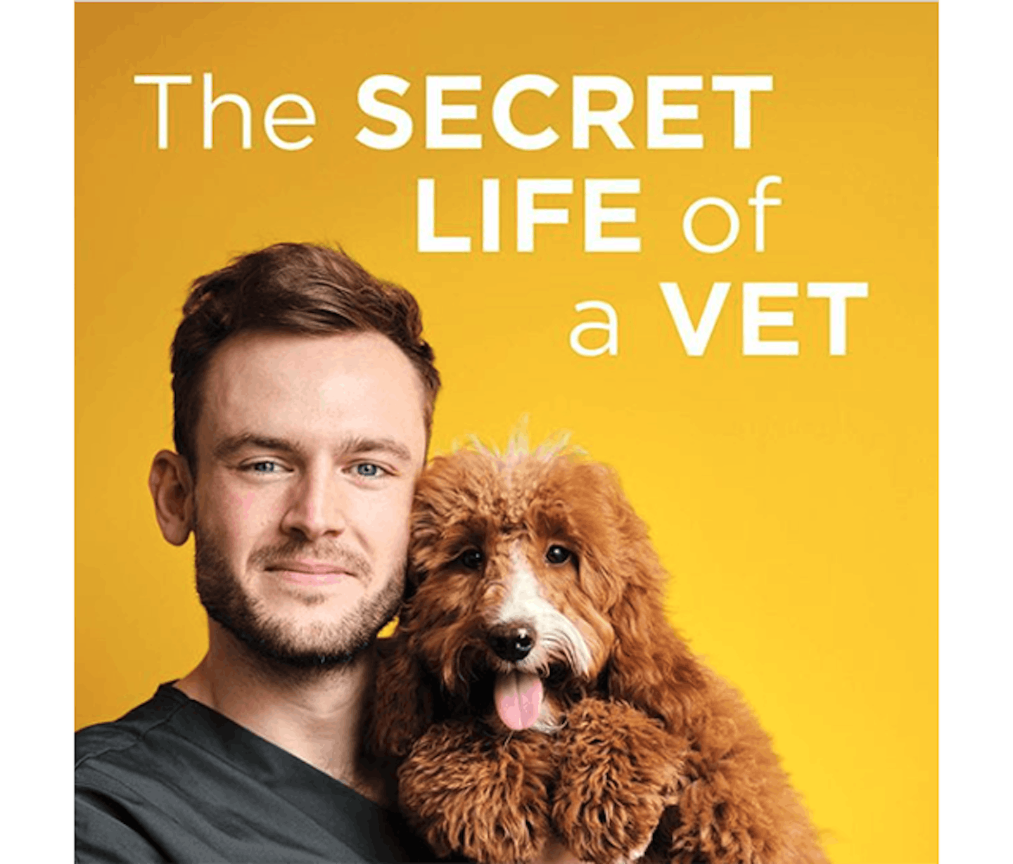 the secret life of a vet