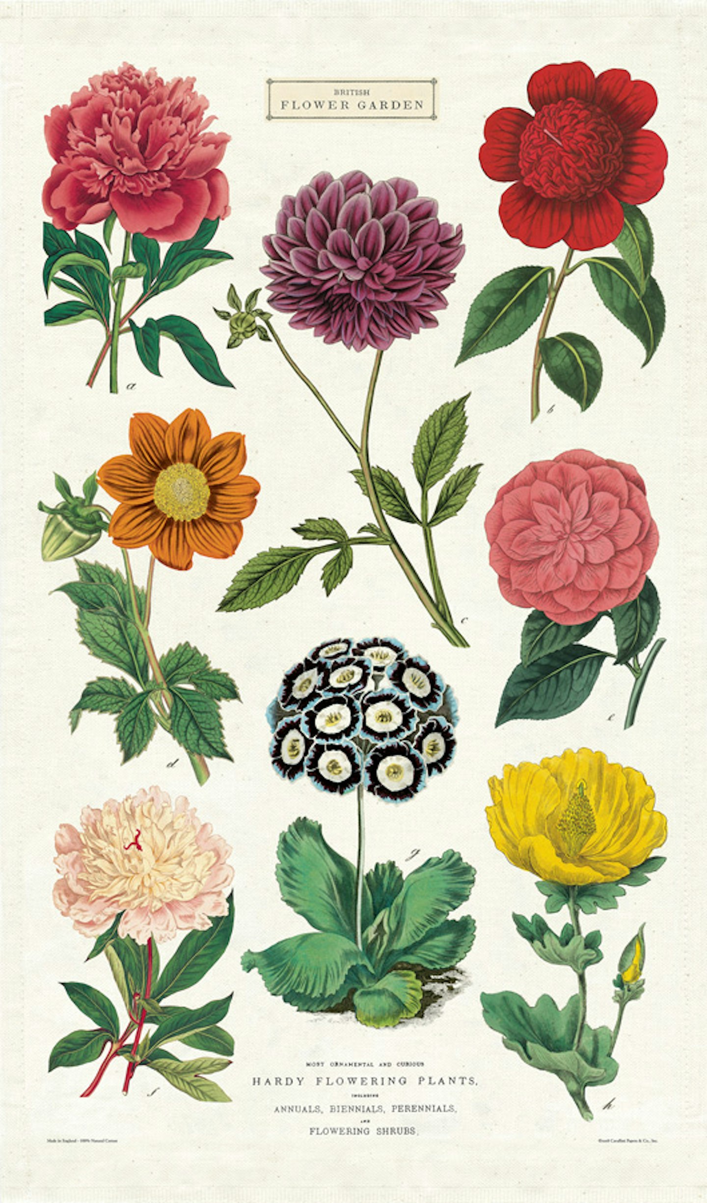 Cavallini for RBG Kew, Tea towel, £13.50