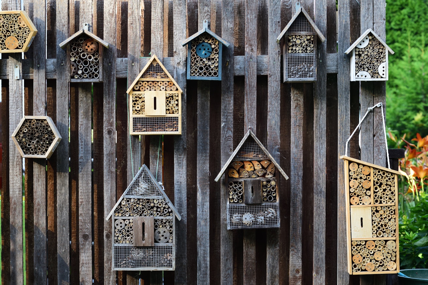 Bug hotels