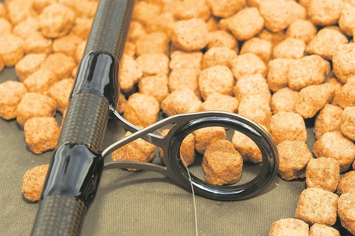 best dog biscuits for floater fishing