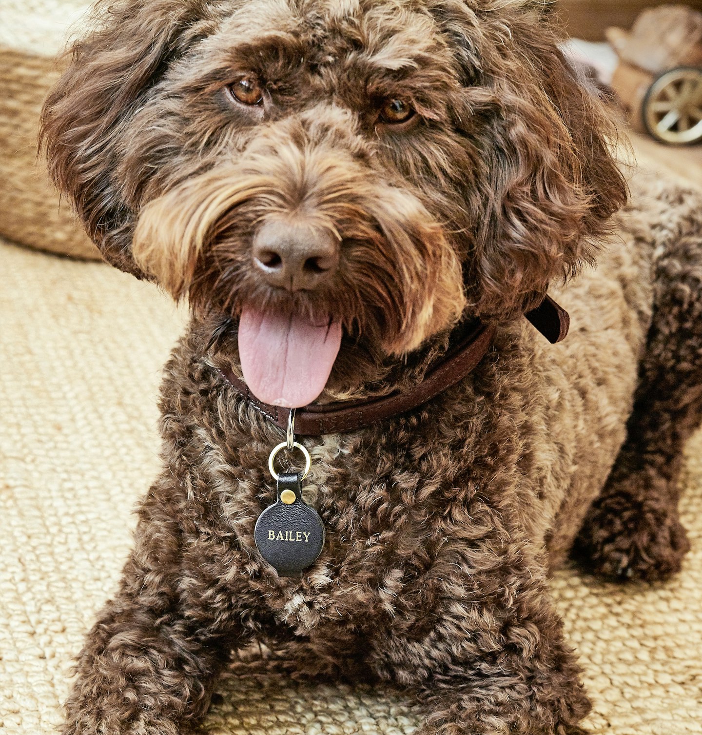 Personalised Leather Dog Name Tag With Photo