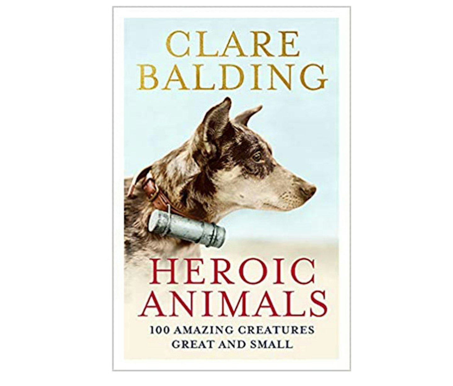 clare balding heroic animals