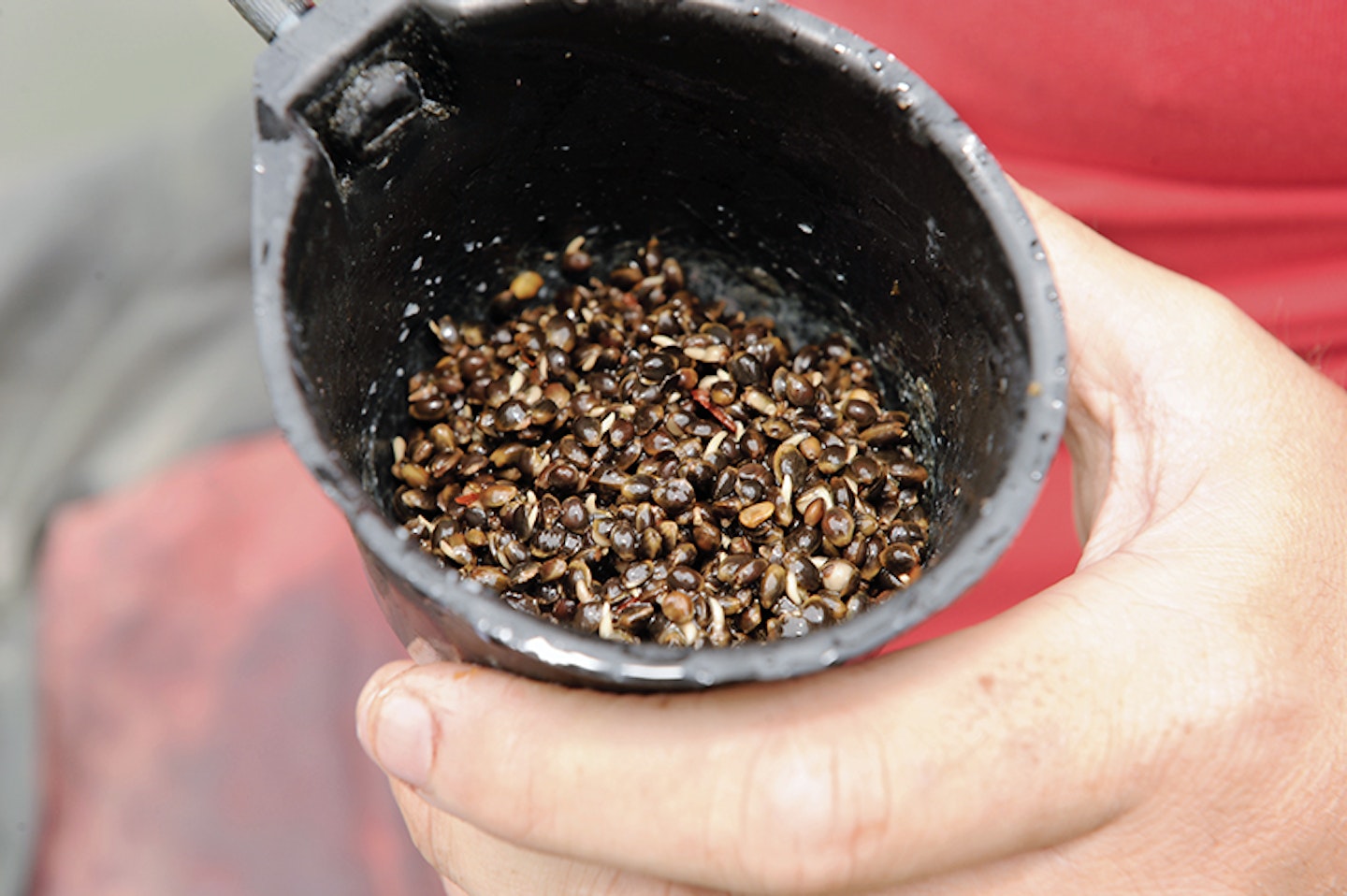 STEVE RINGER'S TOP 10 BAITS TO USE WHEN FISHING COMMERCIALS.