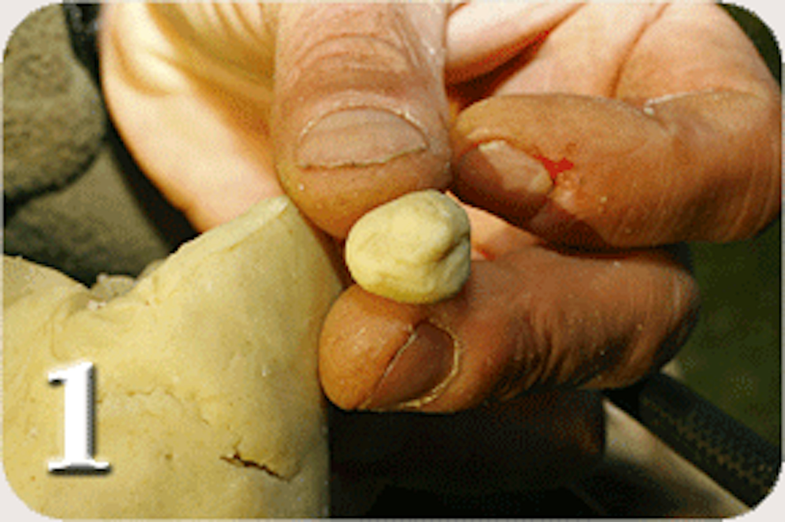 MAKING PASTE TO CATCH CHUB, CARP AND BARBEL