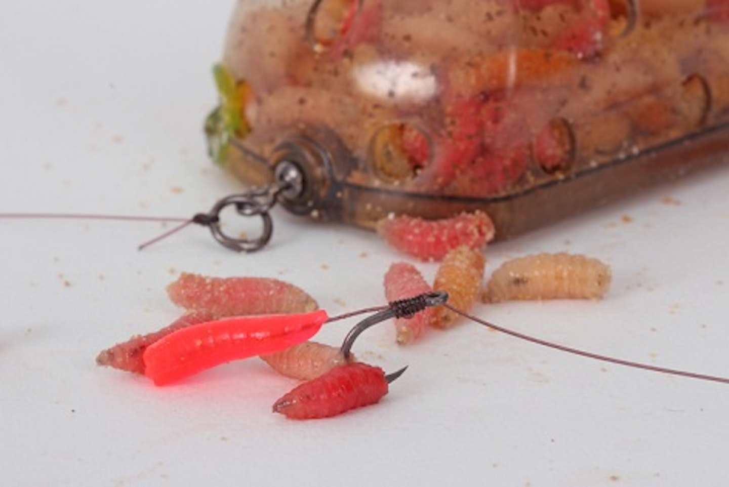 HOW TO USE MAGGOTS TO CATCH BIG FISH