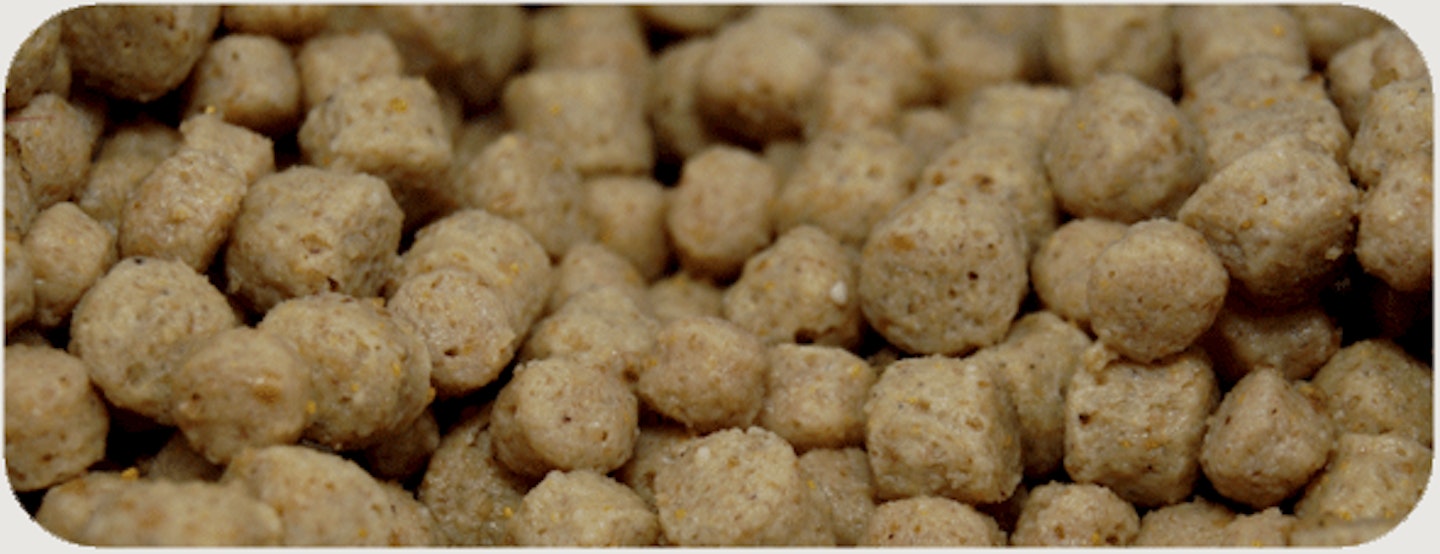 PELLETS – THE PERFECT FISHING FEED AND BAIT