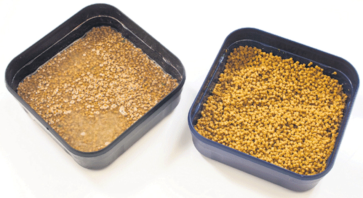 HOW TO USE A METHOD FEEDER GROUNDBAIT AND PELLET MOULD