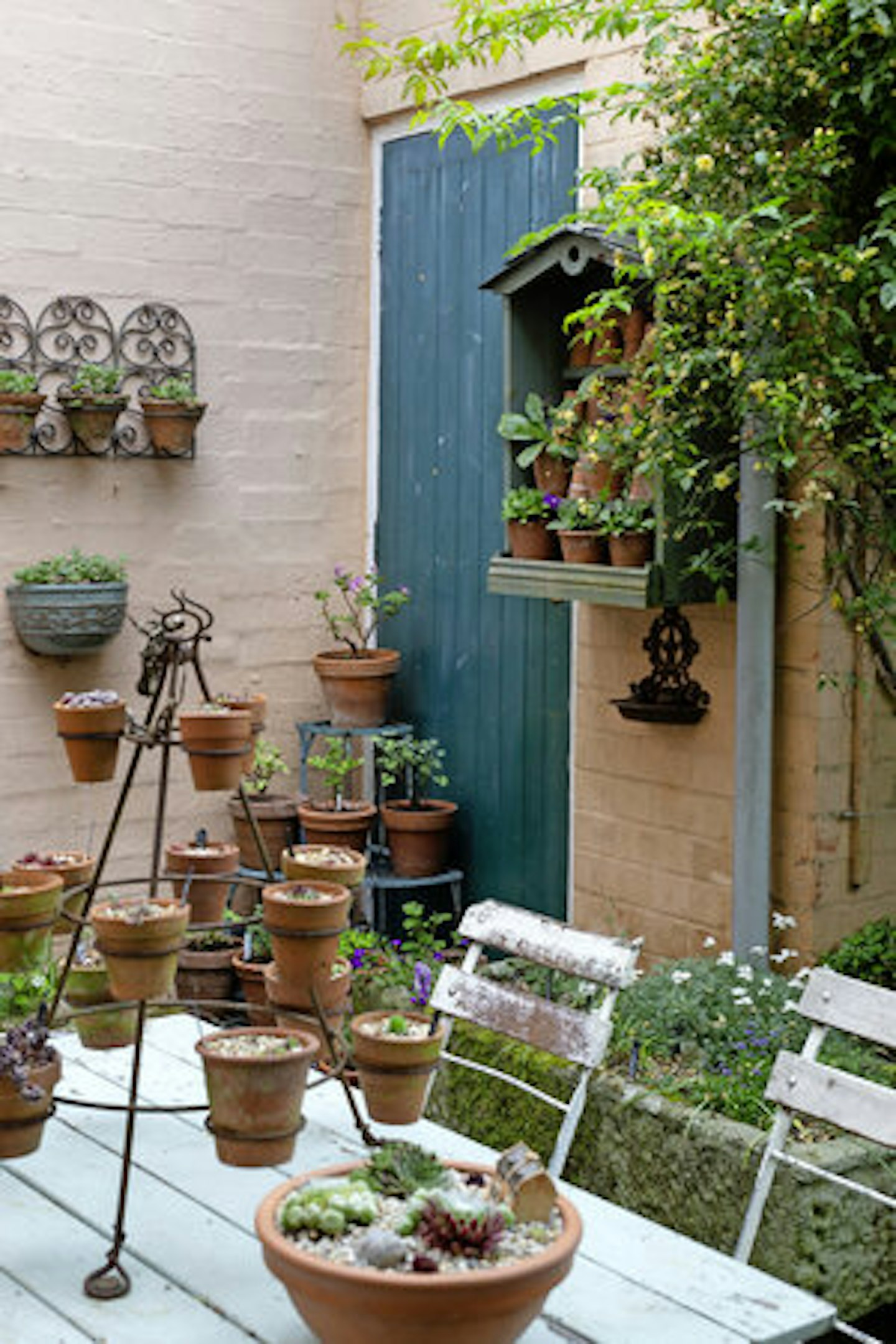 THEREu2019S NO SPACE FOR LAWN