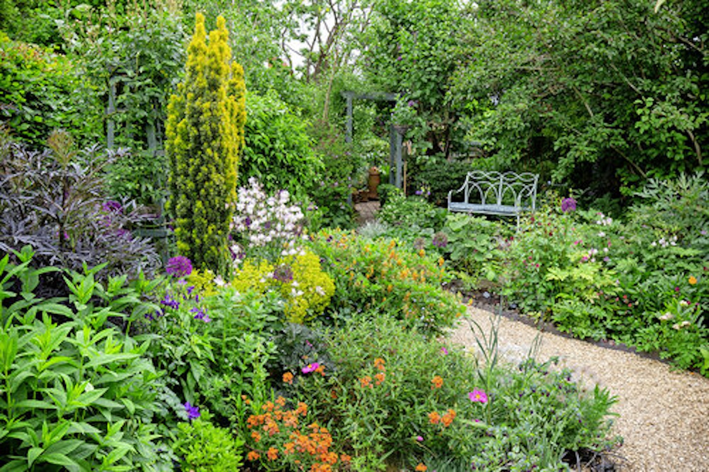 THEREu2019S NO SPACE FOR LAWN