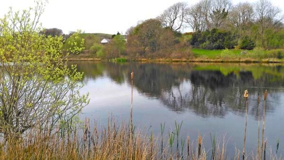 TROUT FISHING NEAR ME | FLY FISHING LAKES THAT OFFER GREAT VARIETY | Tips, Venues and Gear | Trout and Salmon