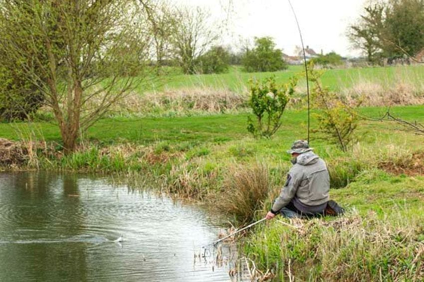 TROUT FISHING NEAR ME VENUES TO PUT ON YOUR MUST VISIT LIST Tips