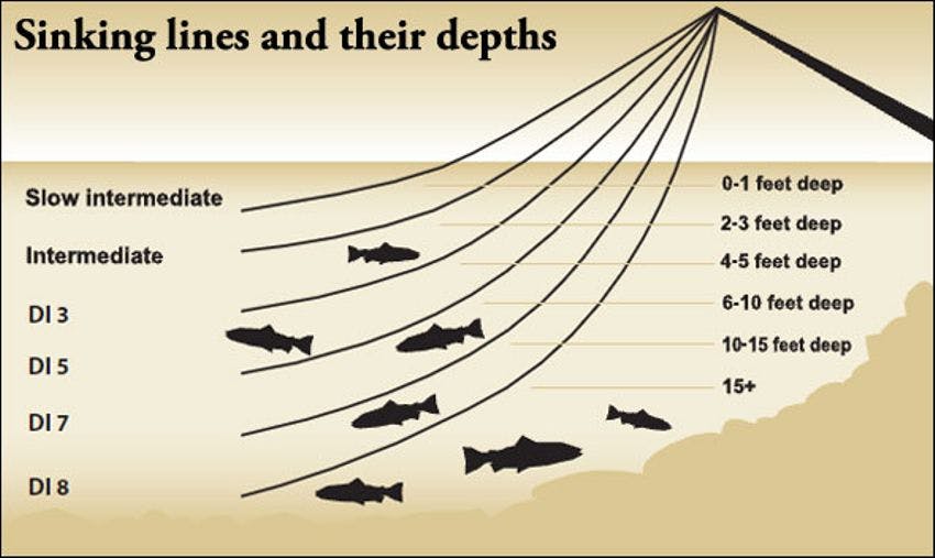 how to setup a fishing line for trout