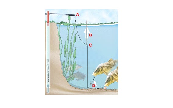 HOW TO FISH THE LIFT METHOD FOR CARP, TENCH AND BREAM Angling Times