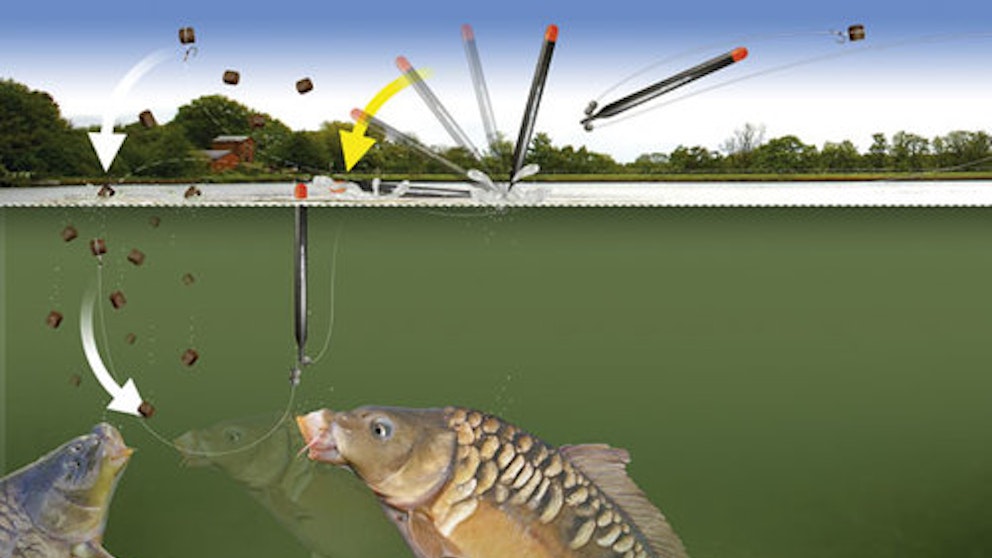 HOW TO RIG AND FISH WITH A PELLET WAGGLER | Angling Times