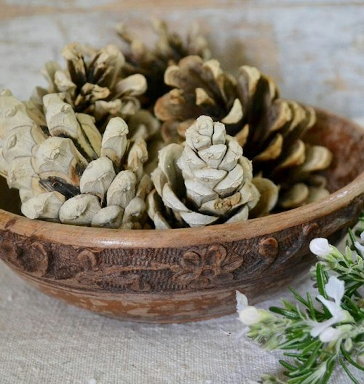 Craft Ideas | How To Create Bleached Pine Cones