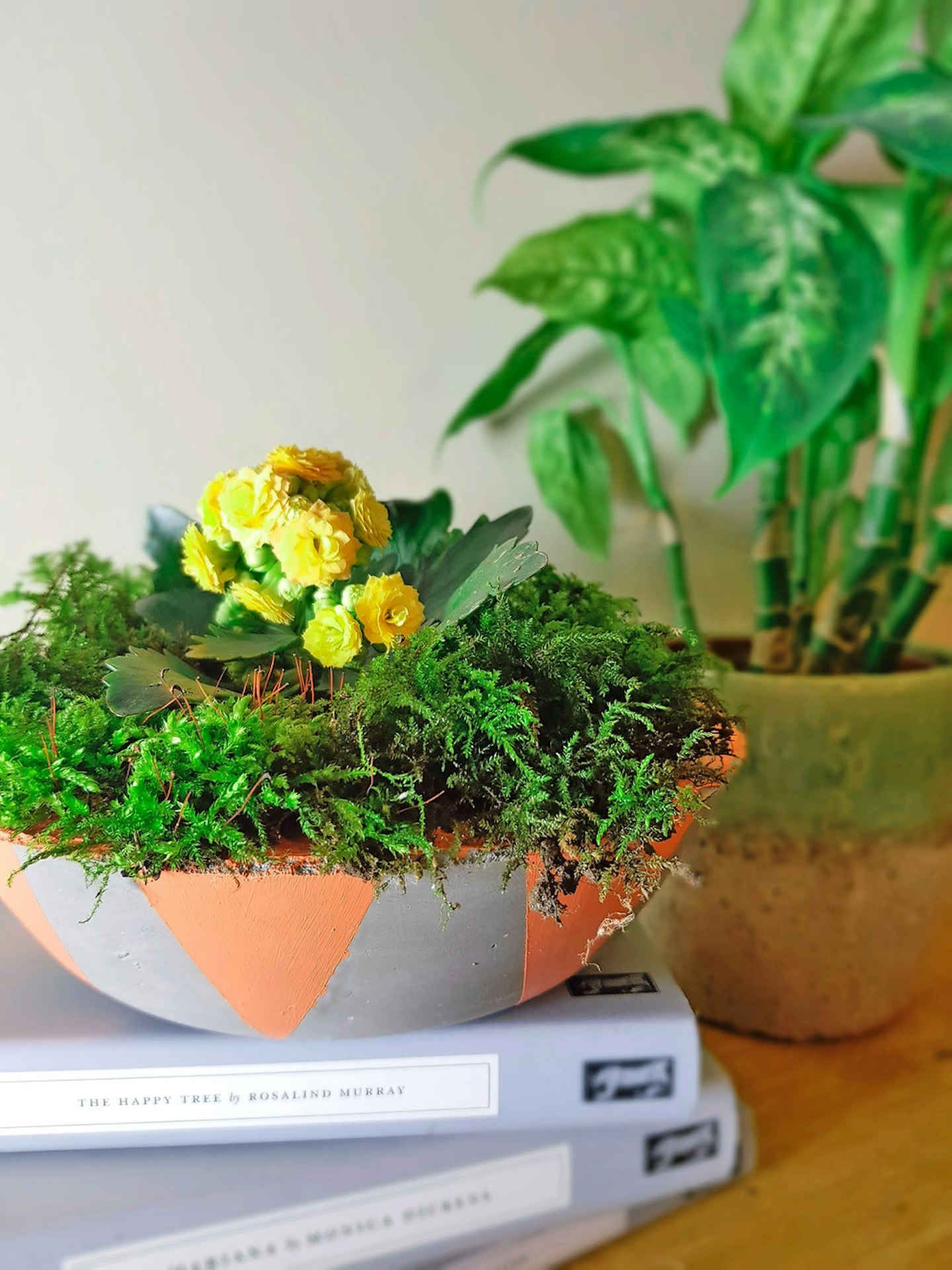 Craft Ideas | How To Make A Geometric Concrete Planter