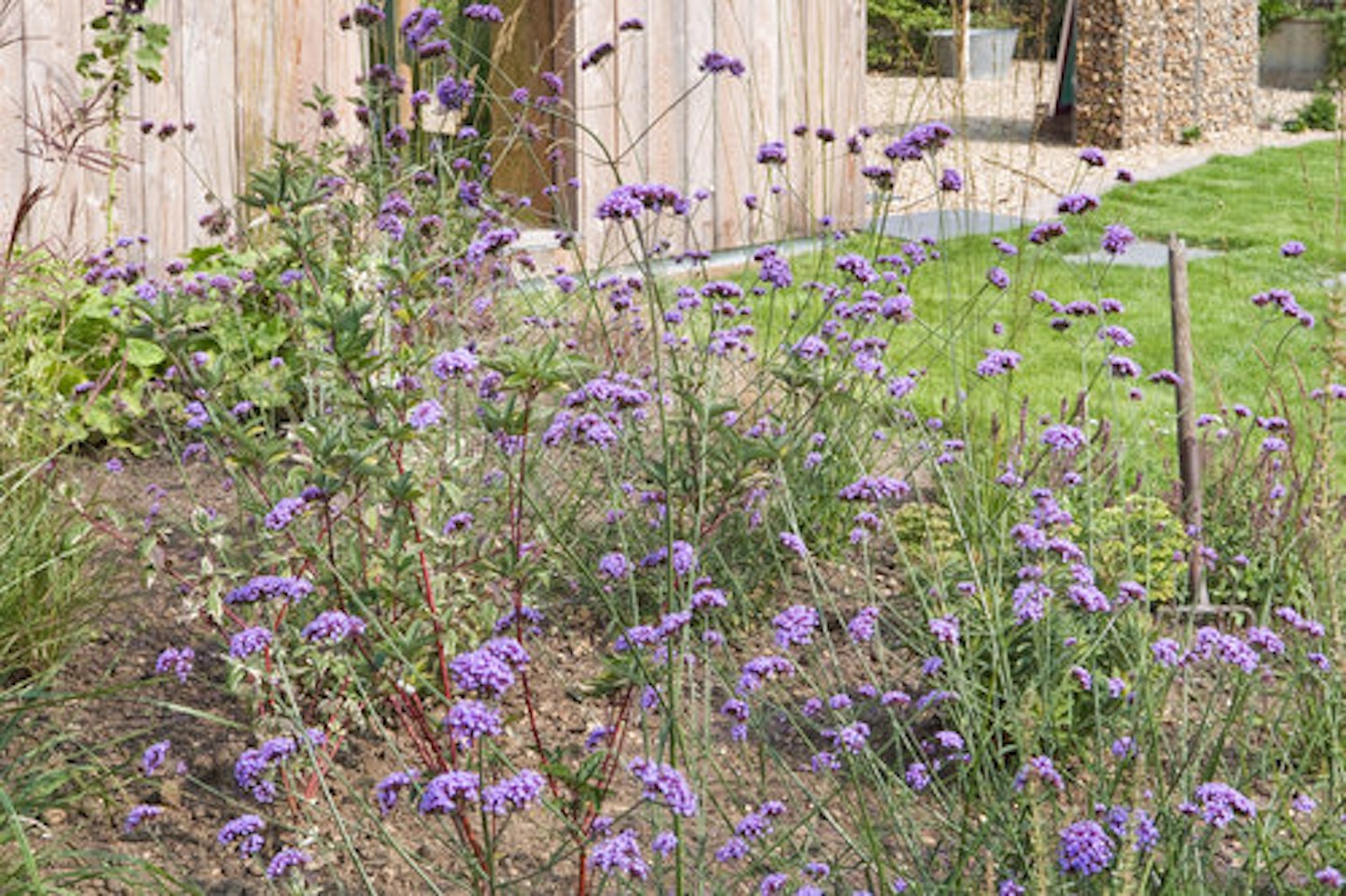 Garden Designs | “I Turned An Old Allotment Into My Dream Garden"