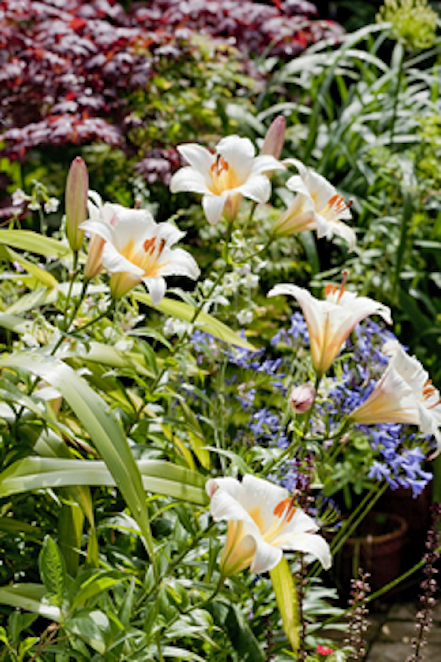 Garden Designs | “We Made Our Garden From 400 Pots!”