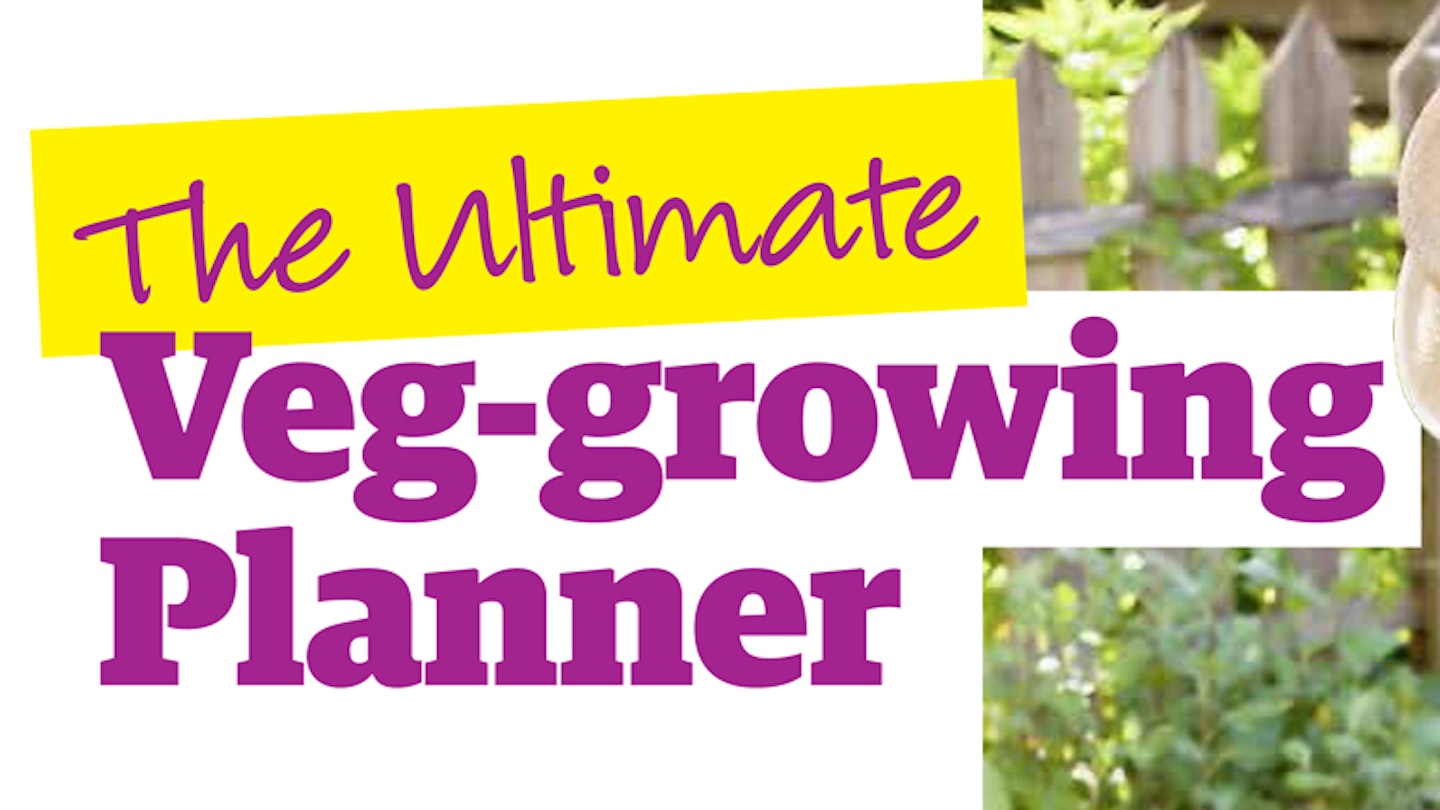 The ultimate veg-growing planner