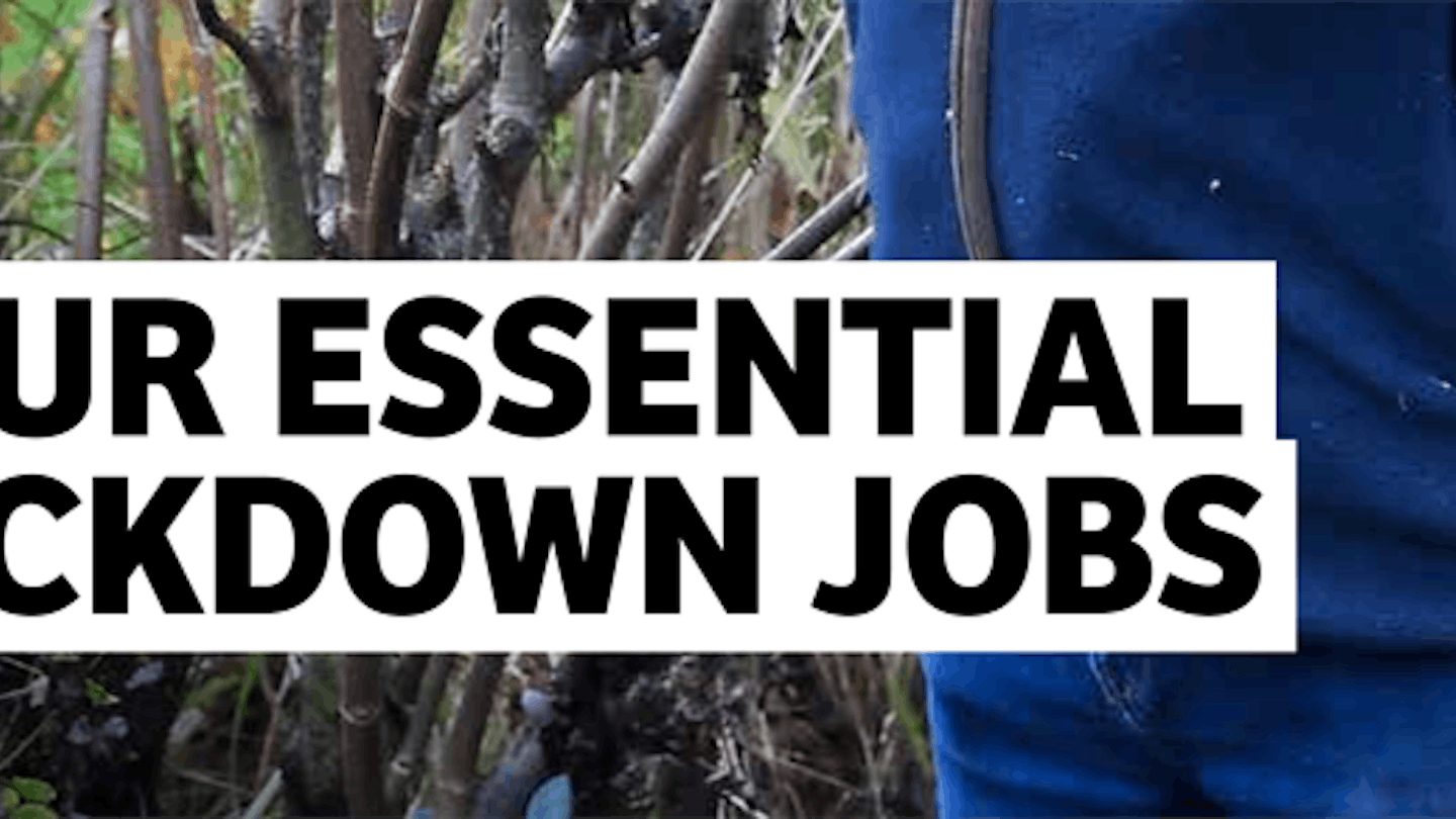 Your Essential Lockdown Jobs