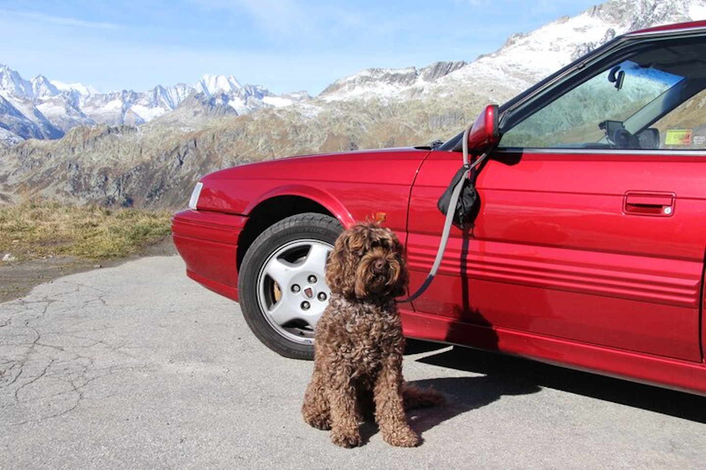 Rover 800 vs the alps