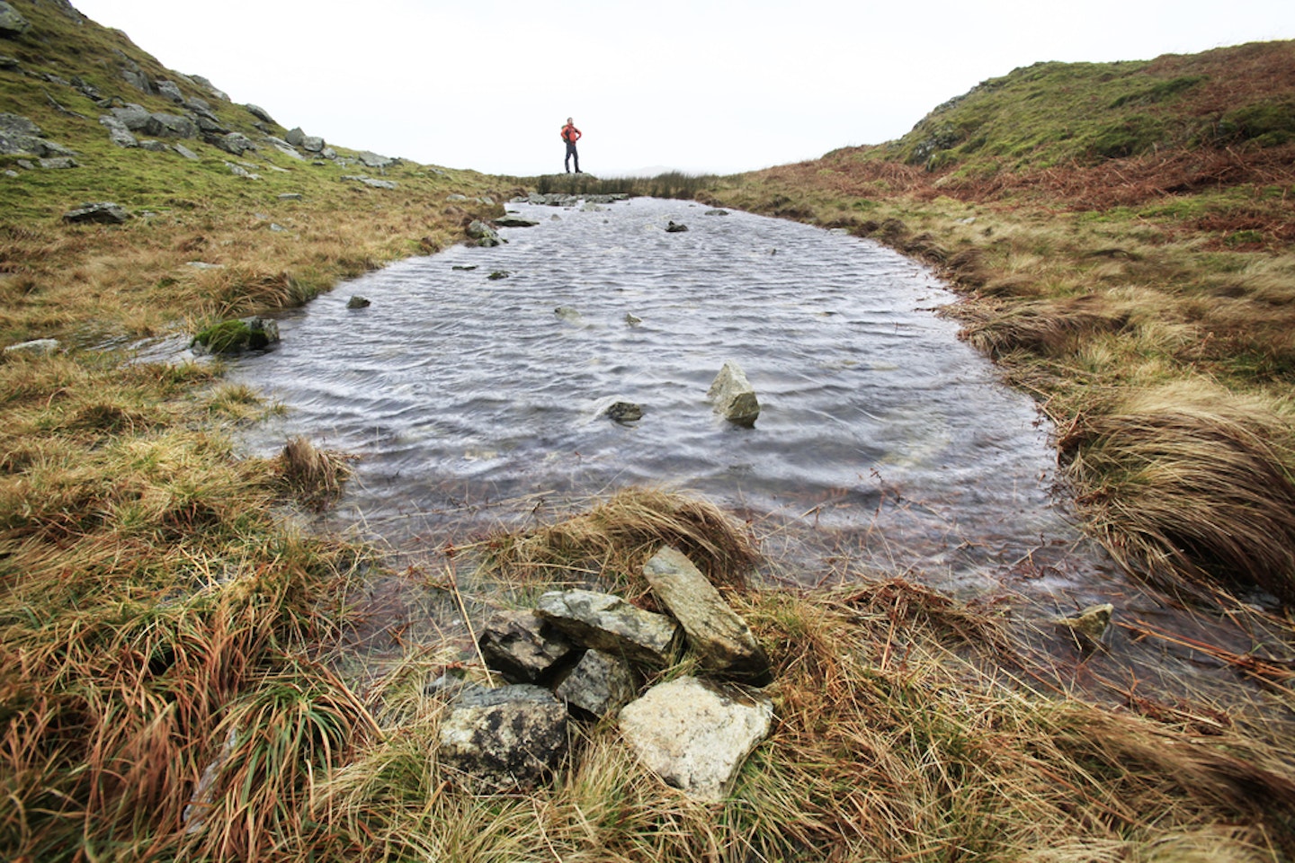 On top of Loughrigg Fell, one of many 'mini' tarns.  Photo : Tom Bailey © Trail Magazine 