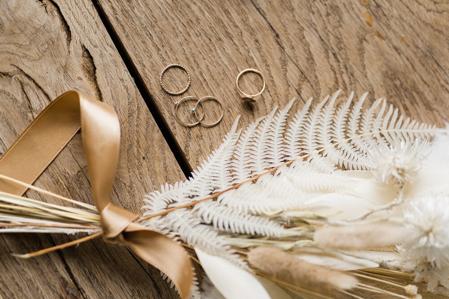 Feathers and Wings