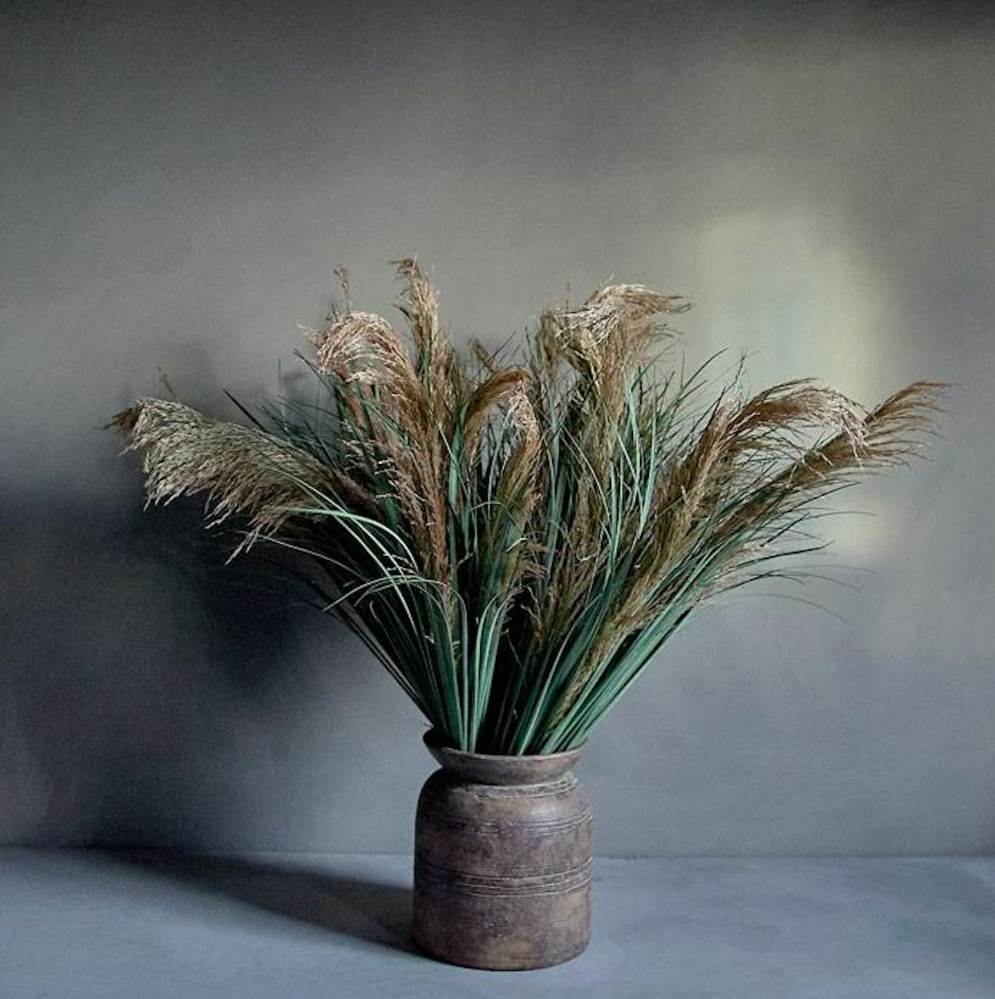 Abigail Adhern, Pampus Grass, £16.50