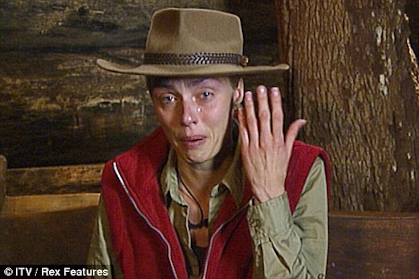 I'm A Celebrity's best quitters