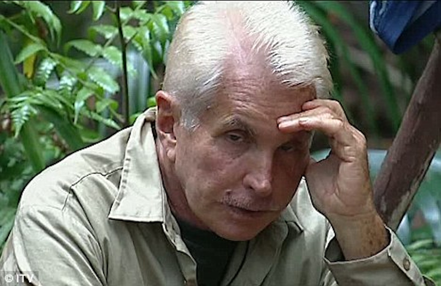 I'm A Celebrity's best quitters