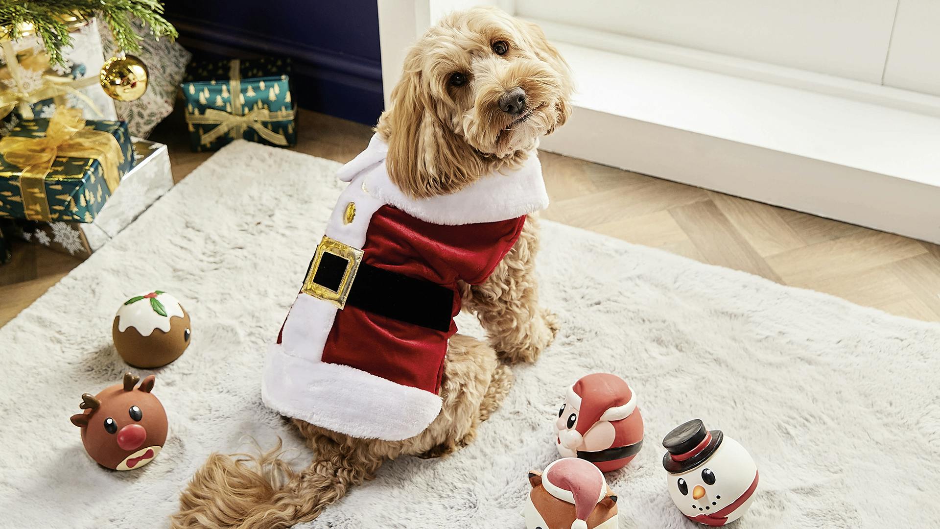 Pets at home dog christmas outlet jumper