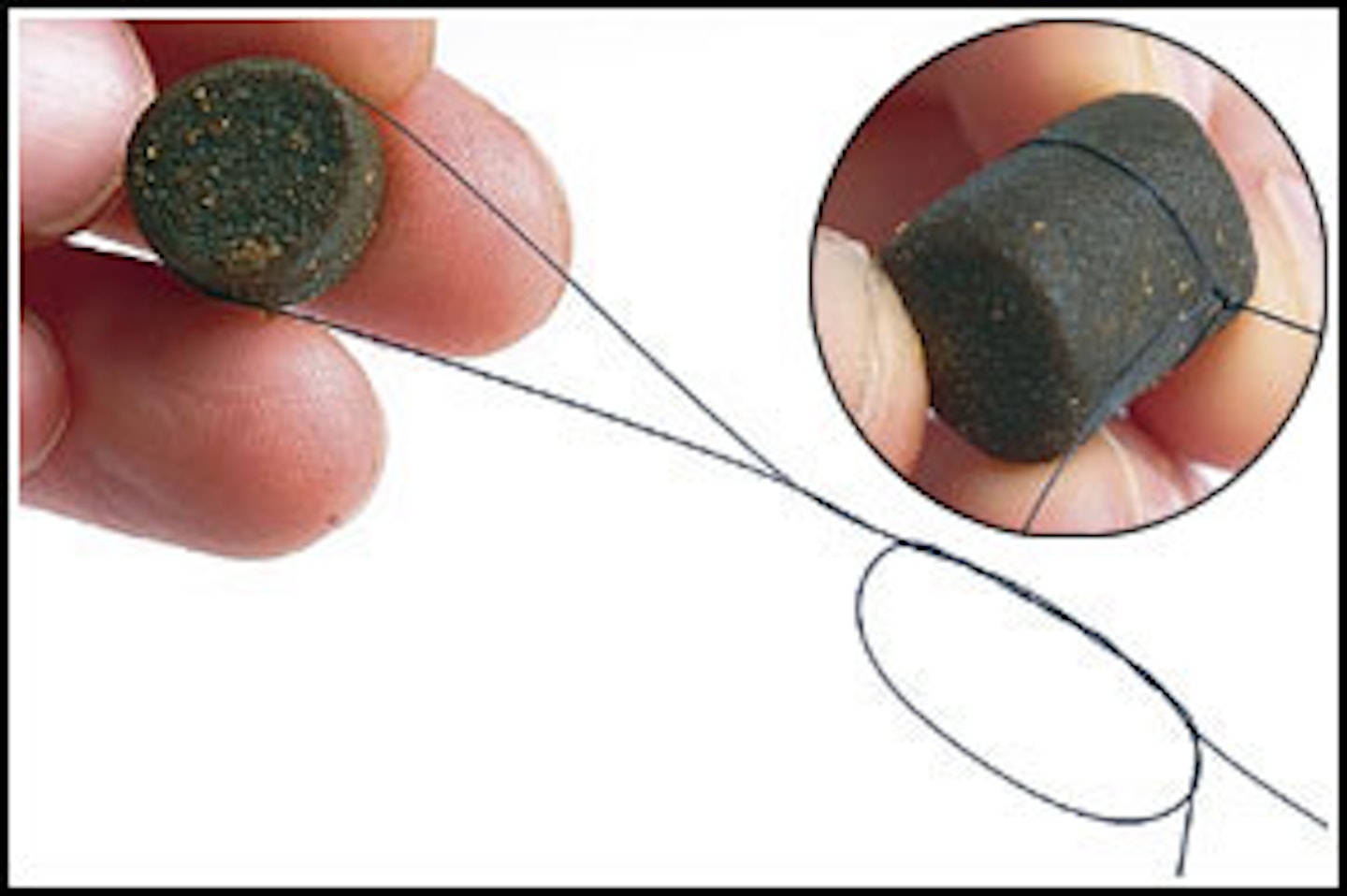 HAIR-RIGGING PELLETS USING THE LASSO METHOD