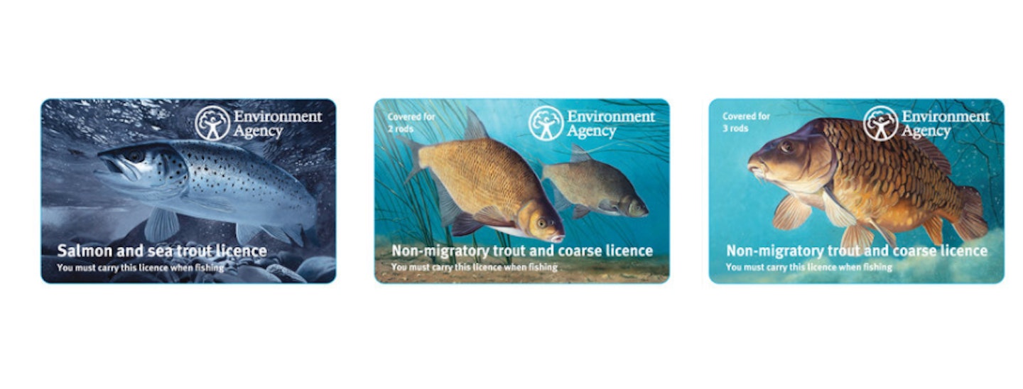 ALL YOU NEED TO KNOW ABOUT THE FISHING ROD LICENCE 2019